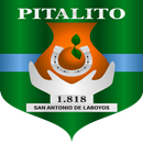 APK Trami App Pitalito