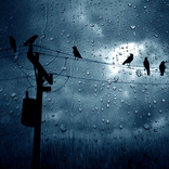 Calm Rain Ambience: Sleep Aid