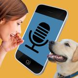 Hondentolk: vertaler voor hond
