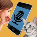 Traducteur de chat en Français APK