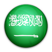 English - Arabic Translator