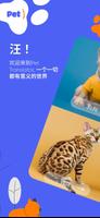 宠物翻译。 海报