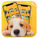 Dog Translator Simulator tips APK