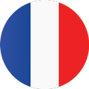 French Translator APK