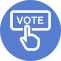 Voting Survey