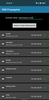 DNS Propagated? Affiche