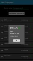 DNS Propagated? capture d'écran 1