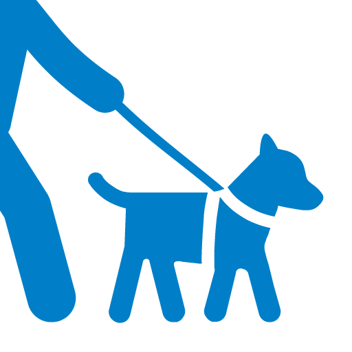 Dog Walk - Spazieren mit Hund