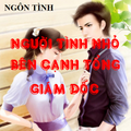 Người Tình Nhỏ Bên Cạnh Tổng Giám Đốc