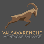 Valsavarenche Montagne Sauvage icône
