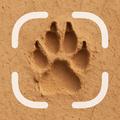 Animal Tracks Identifier