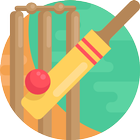 Interesting Cricket Facts-icoon