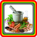 traditional herbal medicine APK