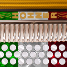 Hohner-EAD Button Accordion ikona