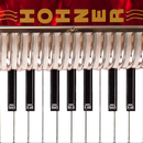 Hohner Piano Accordion APK