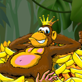 Crazy monkey