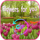 Flowers For You Gif icône
