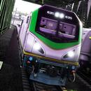 Train Games Driving Simulator:Indian Train 3D APK