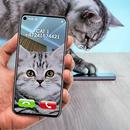 Joke Video Call to Cat APK