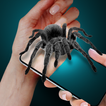 Spider on My Hand Joke アイコン