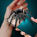 Spider on My Hand Joke APK