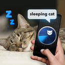 What Do Cats: Joke Radar APK