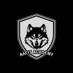 AAFIT Academy