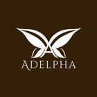 Adelpha Fitness icône