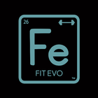 Fit Evo ikon