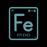 Fit Evo biểu tượng