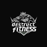 Destruct Fitness ikon