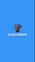 FlexCitiesTR plakat