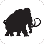 Primal Online Coaching icon