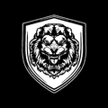 Warrior Project Coaching