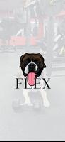 Flex by The Lifters Guild gönderen