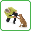 Training my Dog