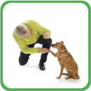 Training my Dog APK