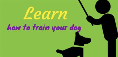 Training my Dog plakat