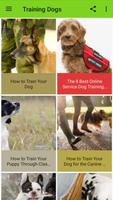 Training my Dog imagem de tela 1