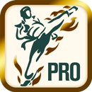 APK Taekwondo training fitness