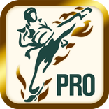 Taekwondo training fitness