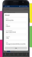 Deleted Photo, Video Recovery تصوير الشاشة 2