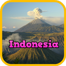 Booking Indonesia Hotels-APK