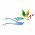 Seychelles TA