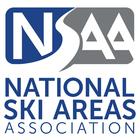 NSAA: DEI 101 ไอคอน