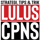 Lulus CPNS 2021 aplikacja