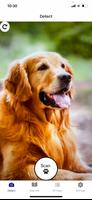 Dog Breed Identifier - PupDex পোস্টার