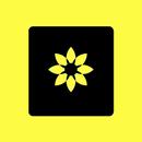 TrendKW APK
