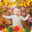 Nature Photo Frames 圖標