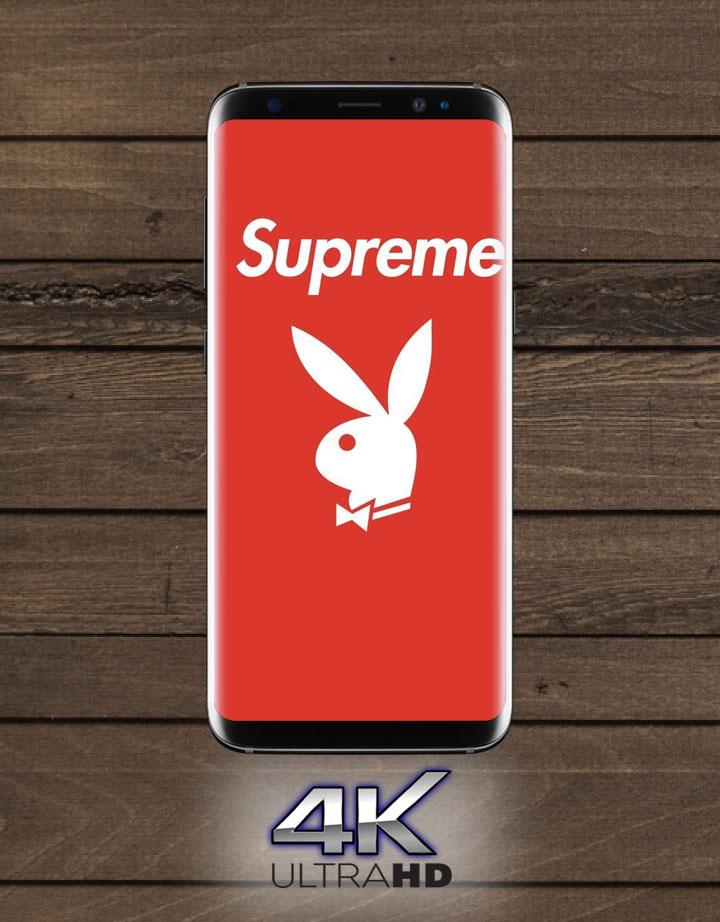 supreme playboy wallpaper